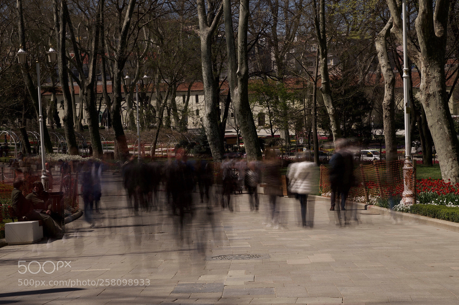 Canon EOS 6D Mark II sample photo. Walking in the park photography