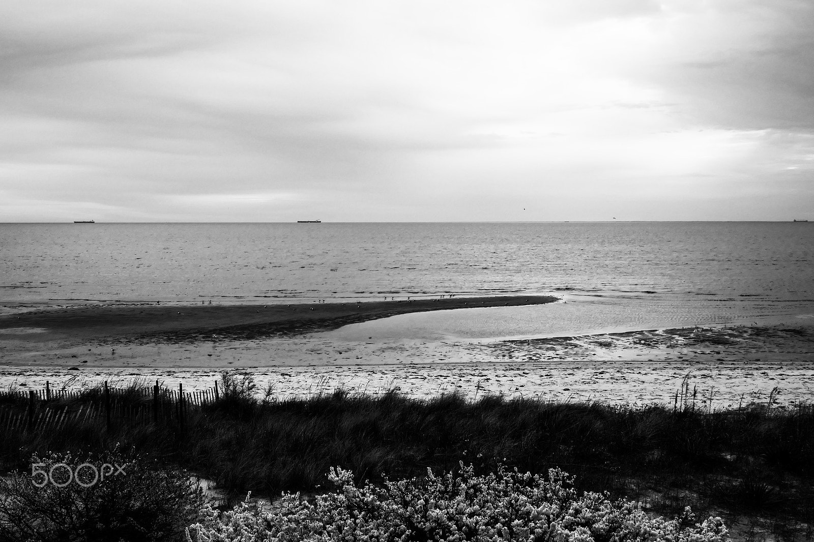 Panasonic Lumix DMC-ZS100 (Lumix DMC-TZ100) sample photo. Watching the tide photography