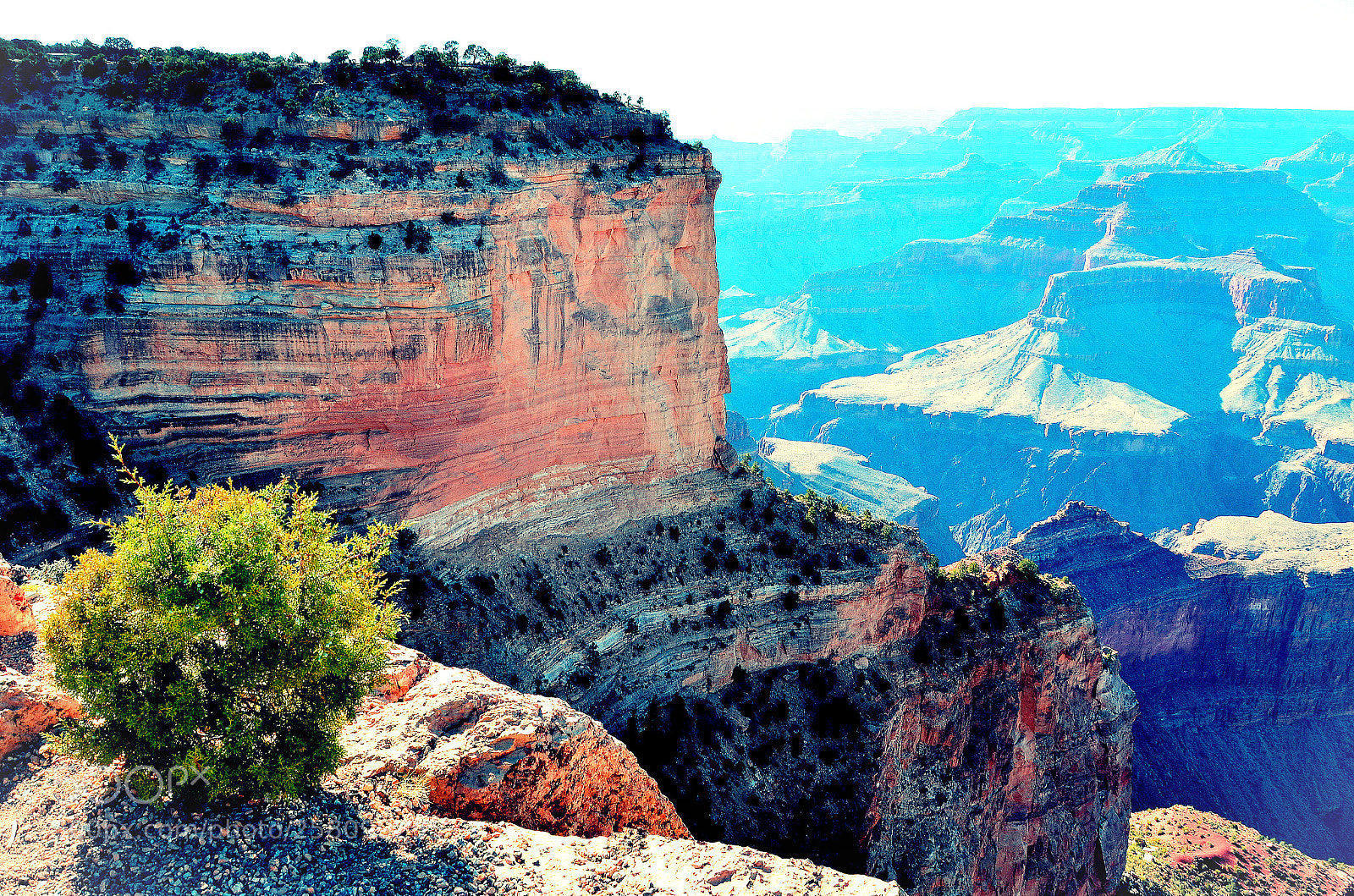 Nikon D7000 sample photo. The grand canyon from photography