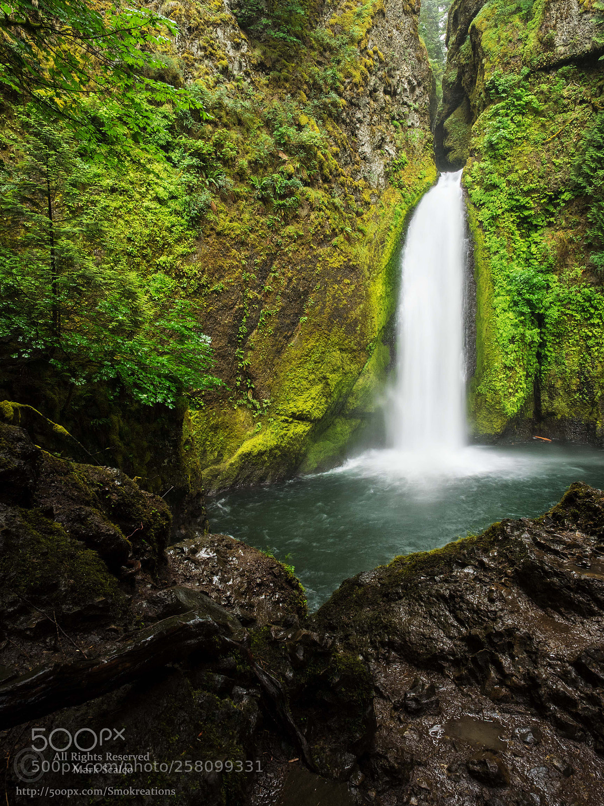 Olympus OM-D E-M1 sample photo. Wahclella falls 2 photography