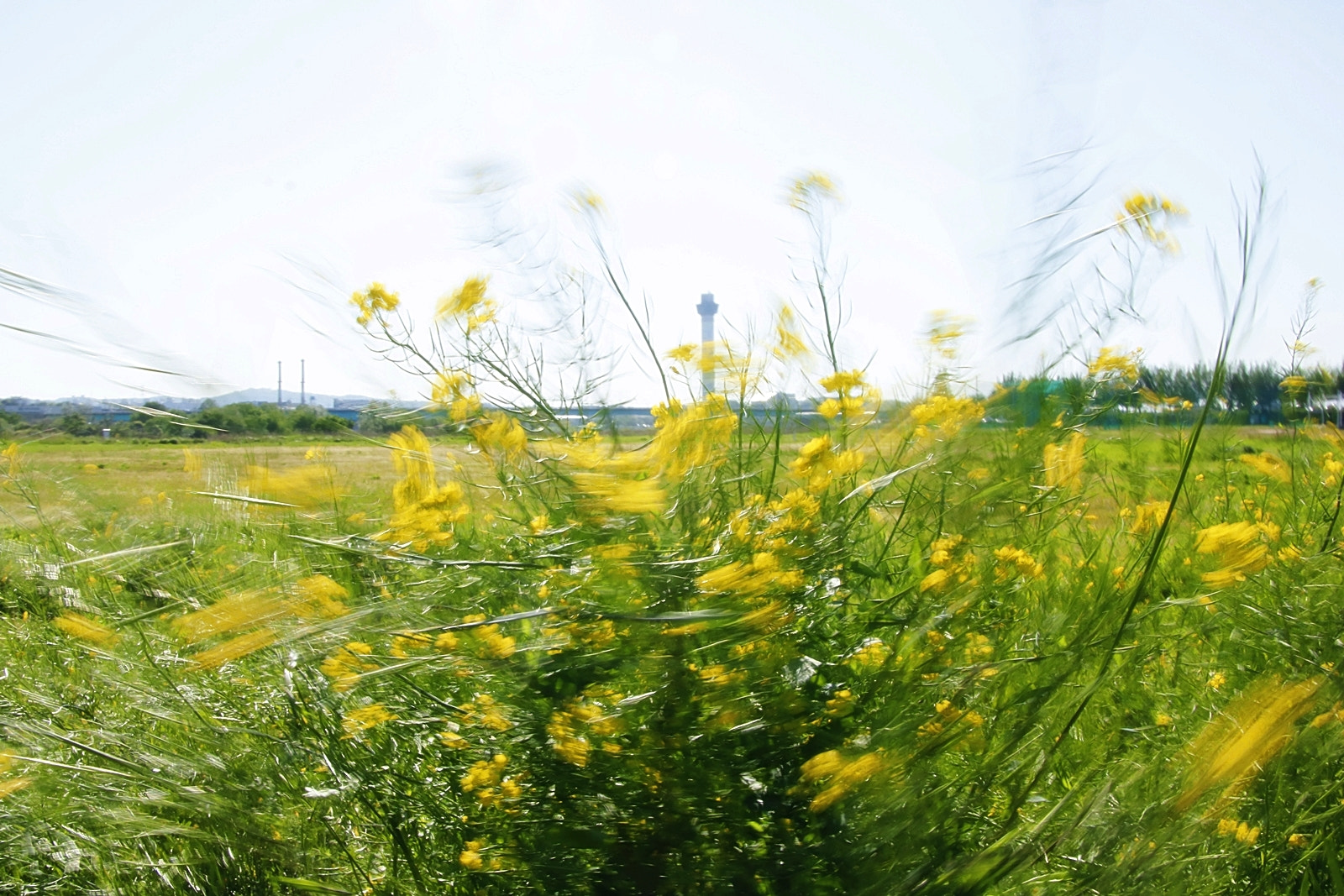 Canon EOS 750D (EOS Rebel T6i / EOS Kiss X8i) sample photo. Mg photography