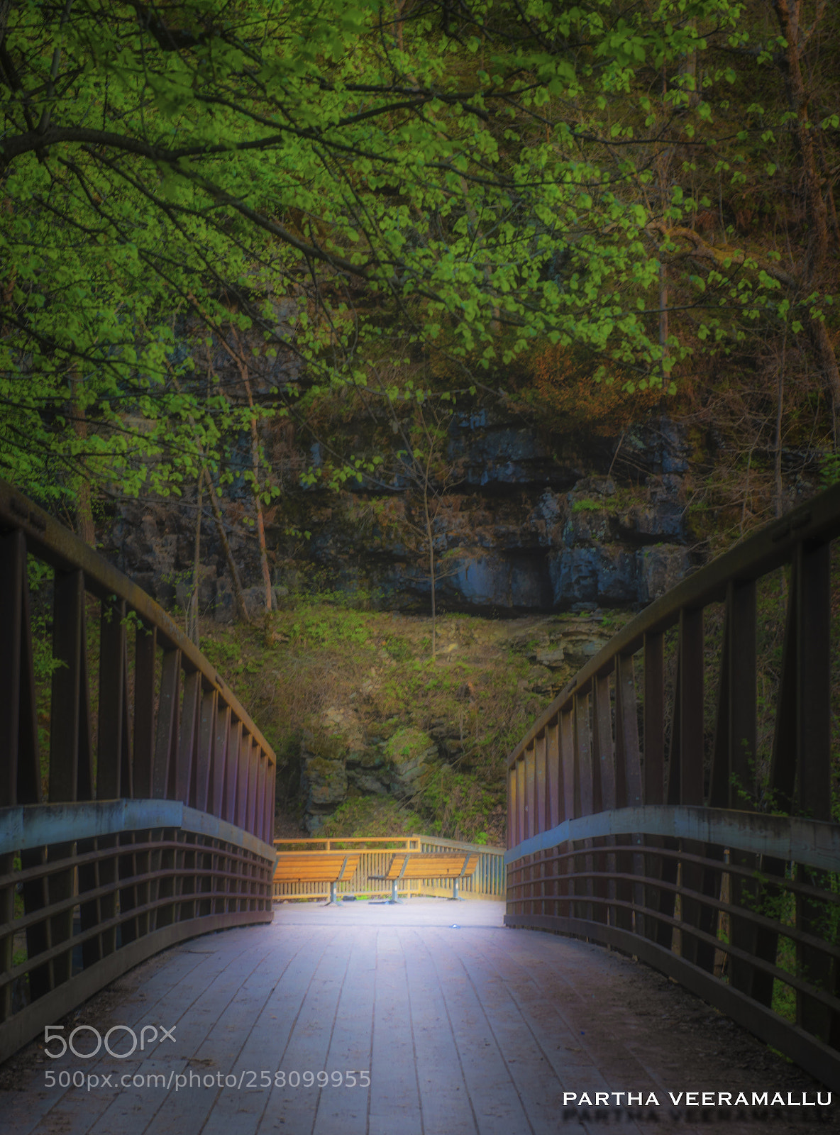 Nikon D810 sample photo. Bridge photography