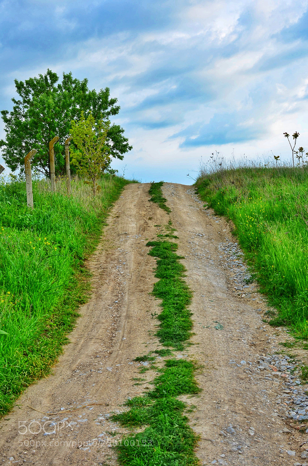 Nikon D7000 sample photo. A road in the photography