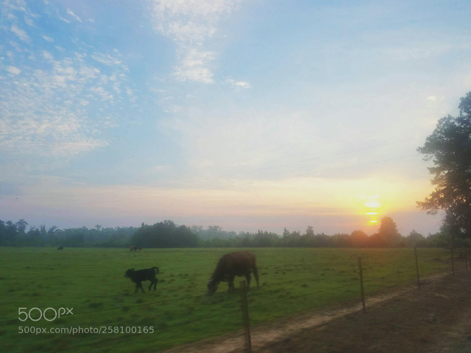 Samsung Galaxy S7 Edge sample photo. Country sunrise photography