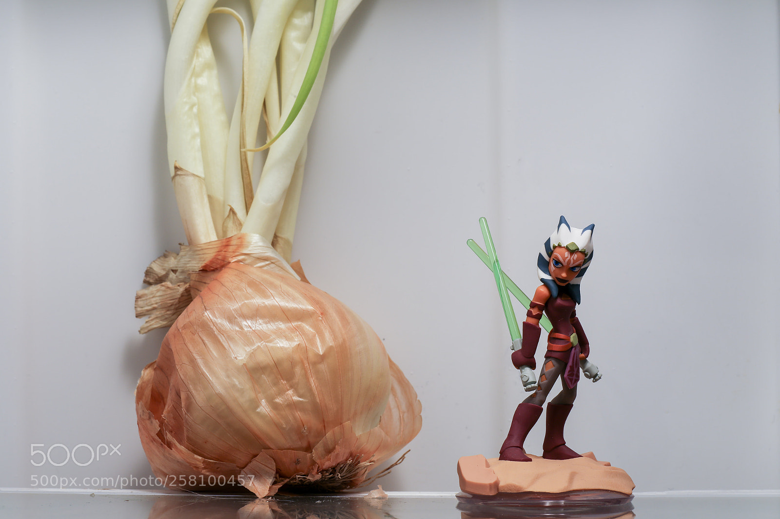 Canon EOS 6D sample photo. Ahsoka, onion. photography
