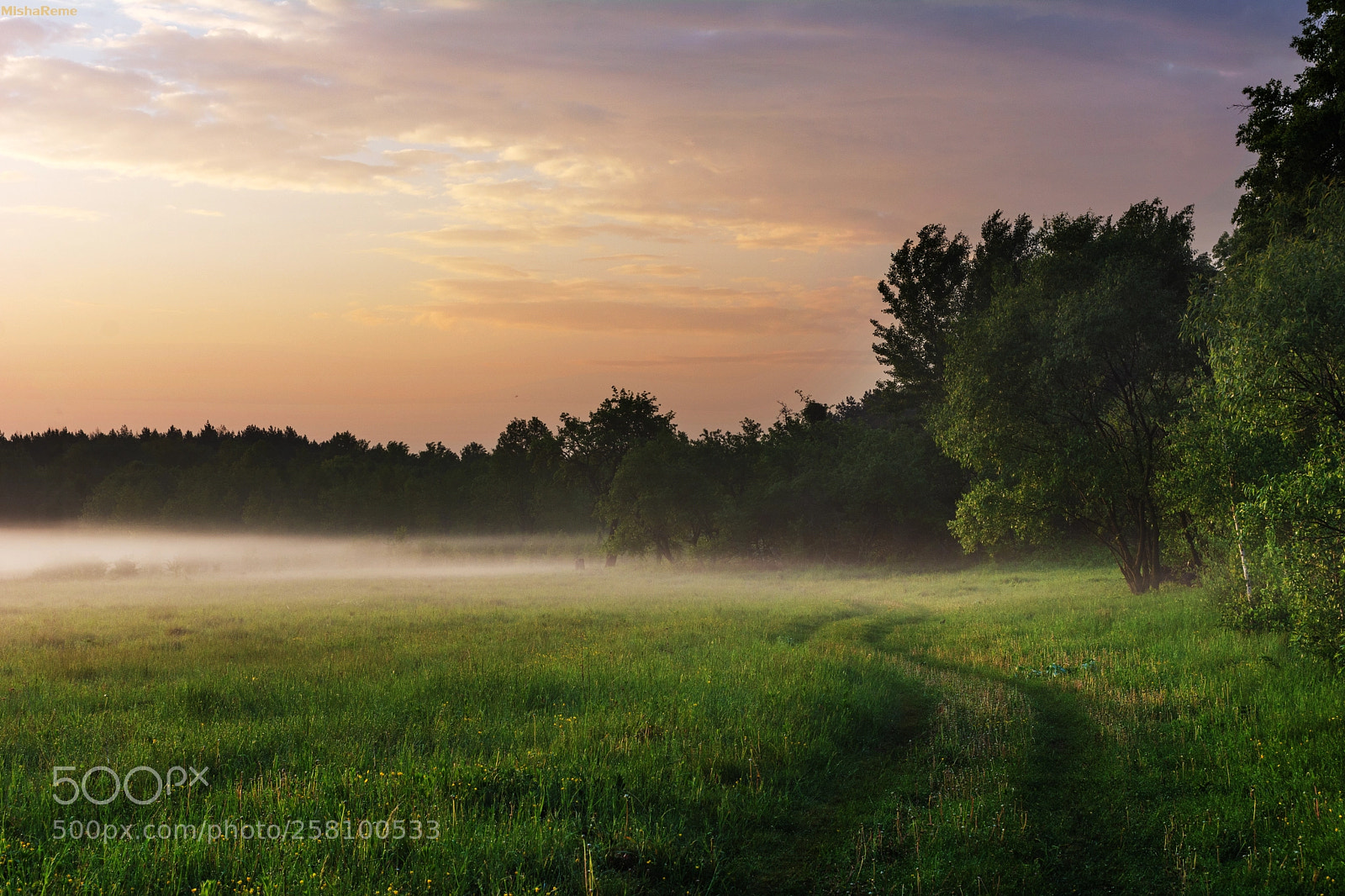 Nikon D7100 sample photo. Morning*** photography