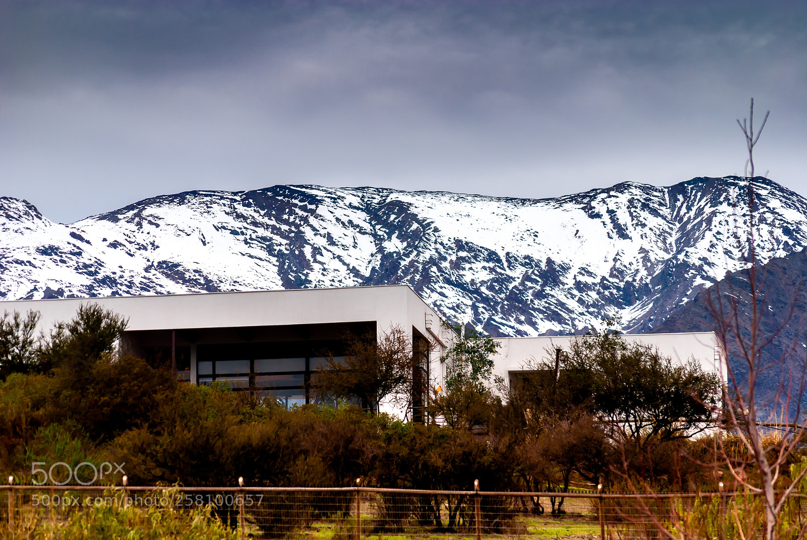 Nikon D80 sample photo. Winter photography