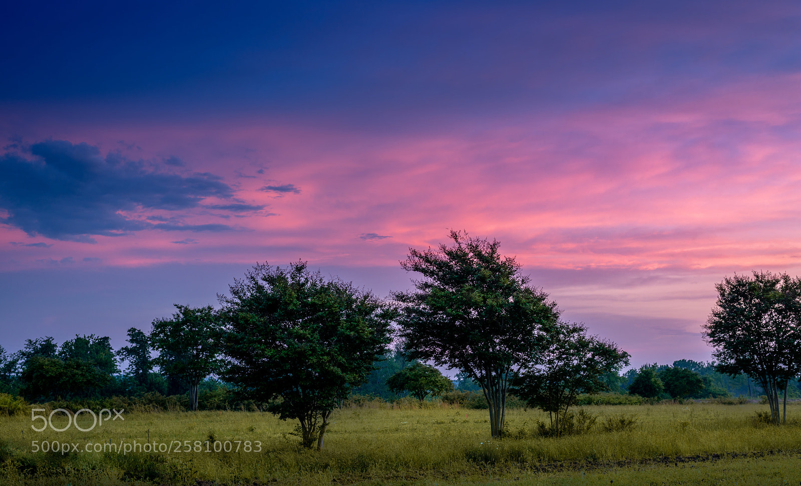 Nikon D800 sample photo. Sunset photography