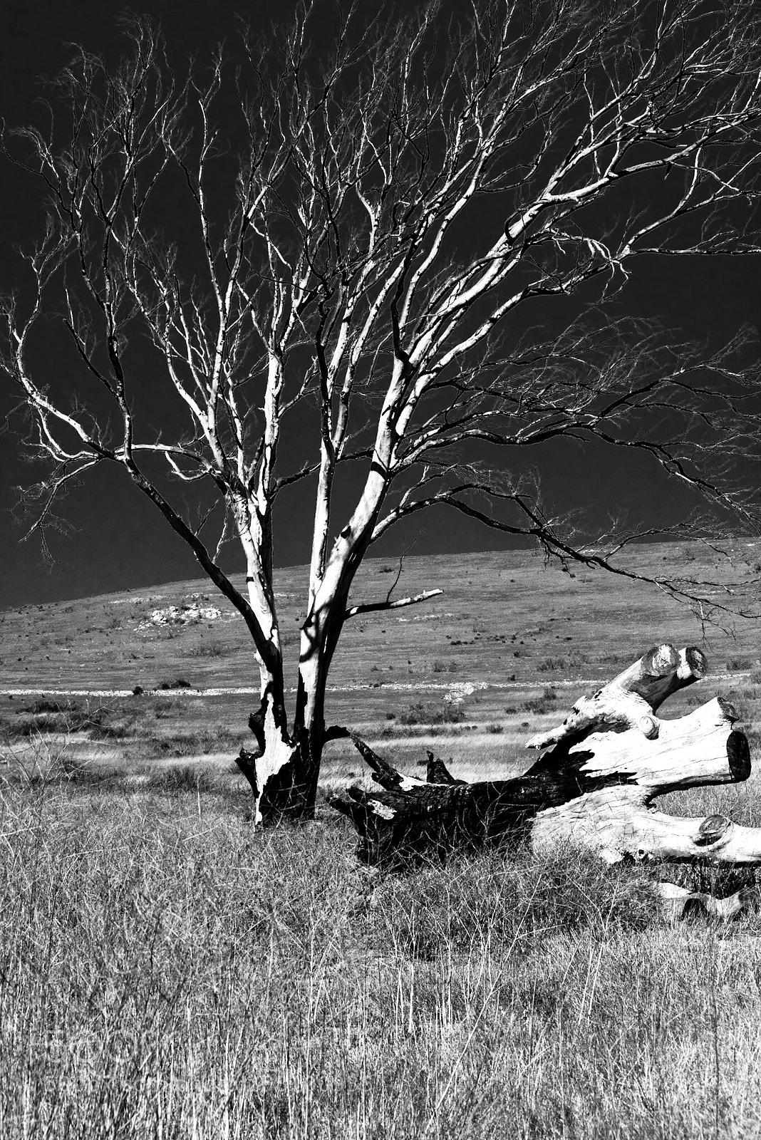 Nikon D610 sample photo. Untitled photography