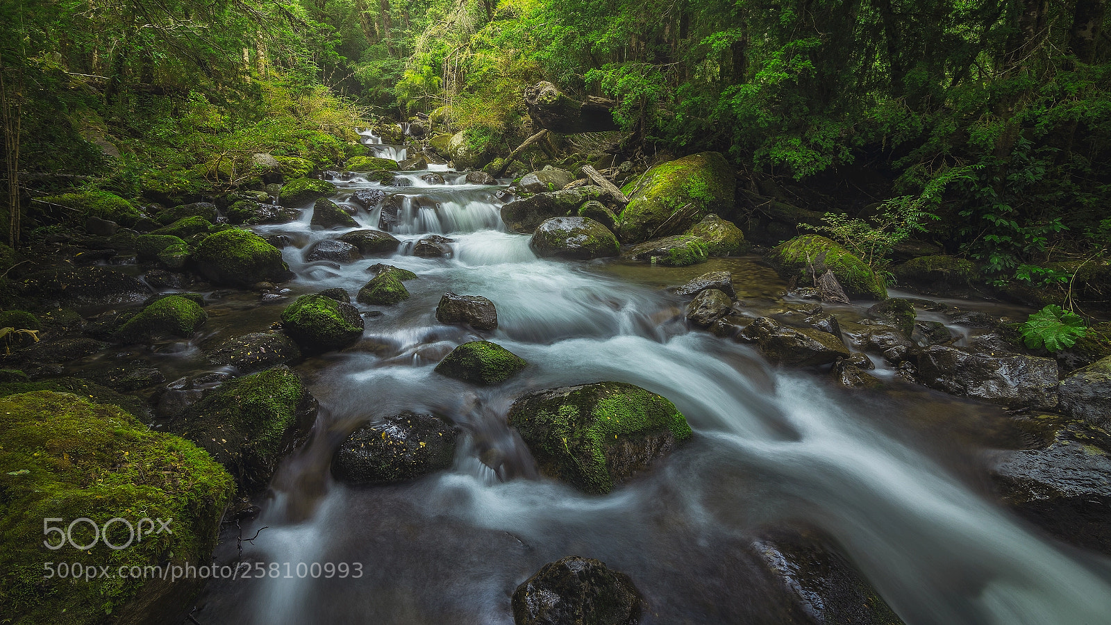 Canon EOS 6D sample photo. Huerquehue river photography