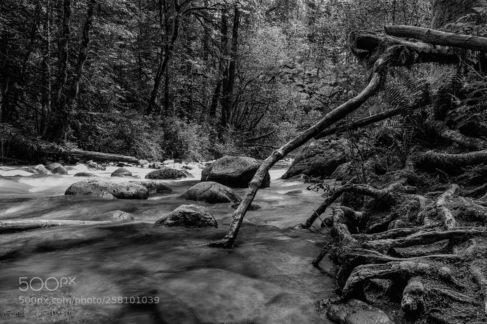 Sony a7 II sample photo. River photography