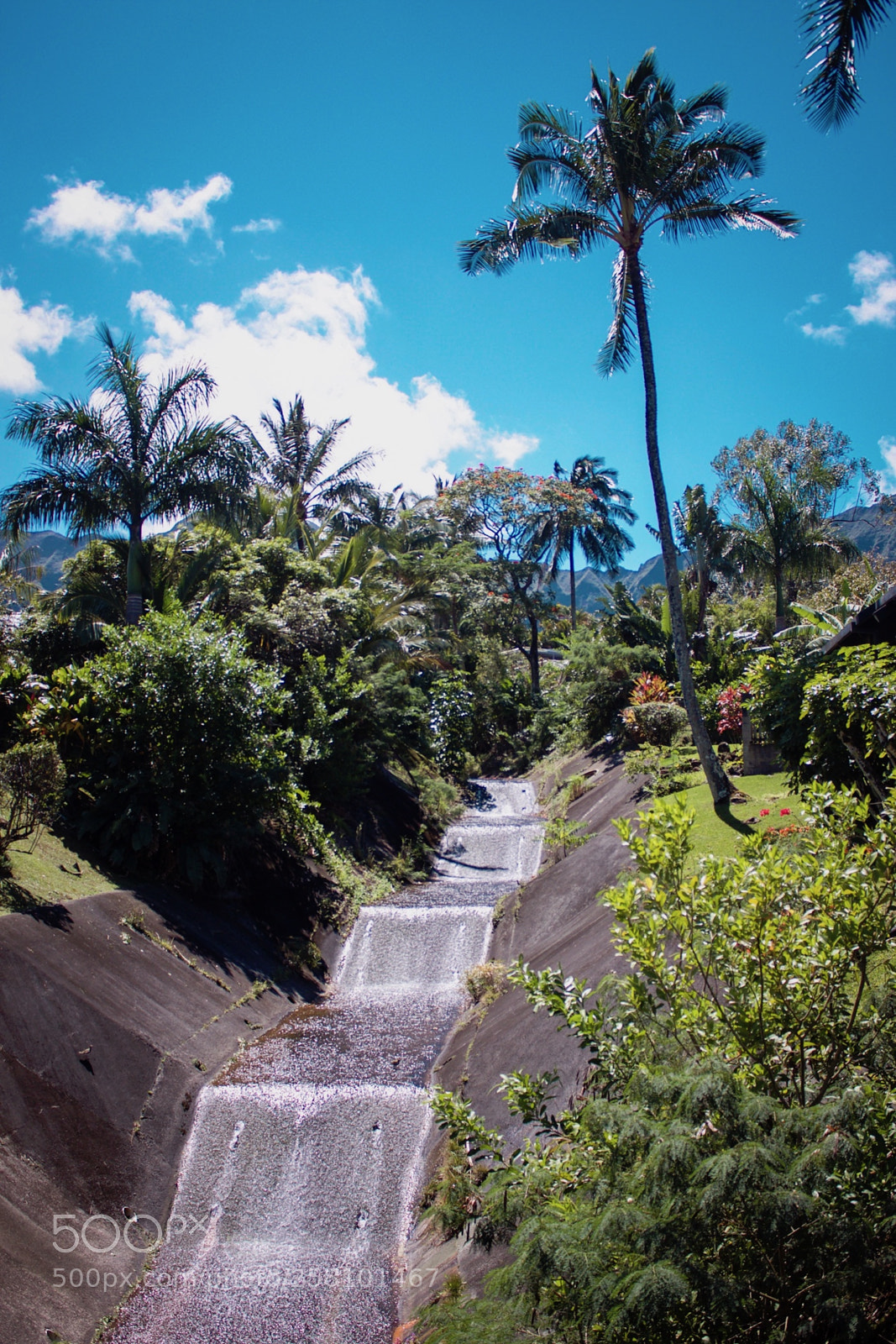 Canon EOS 500D (EOS Rebel T1i / EOS Kiss X3) sample photo. Summer streams photography
