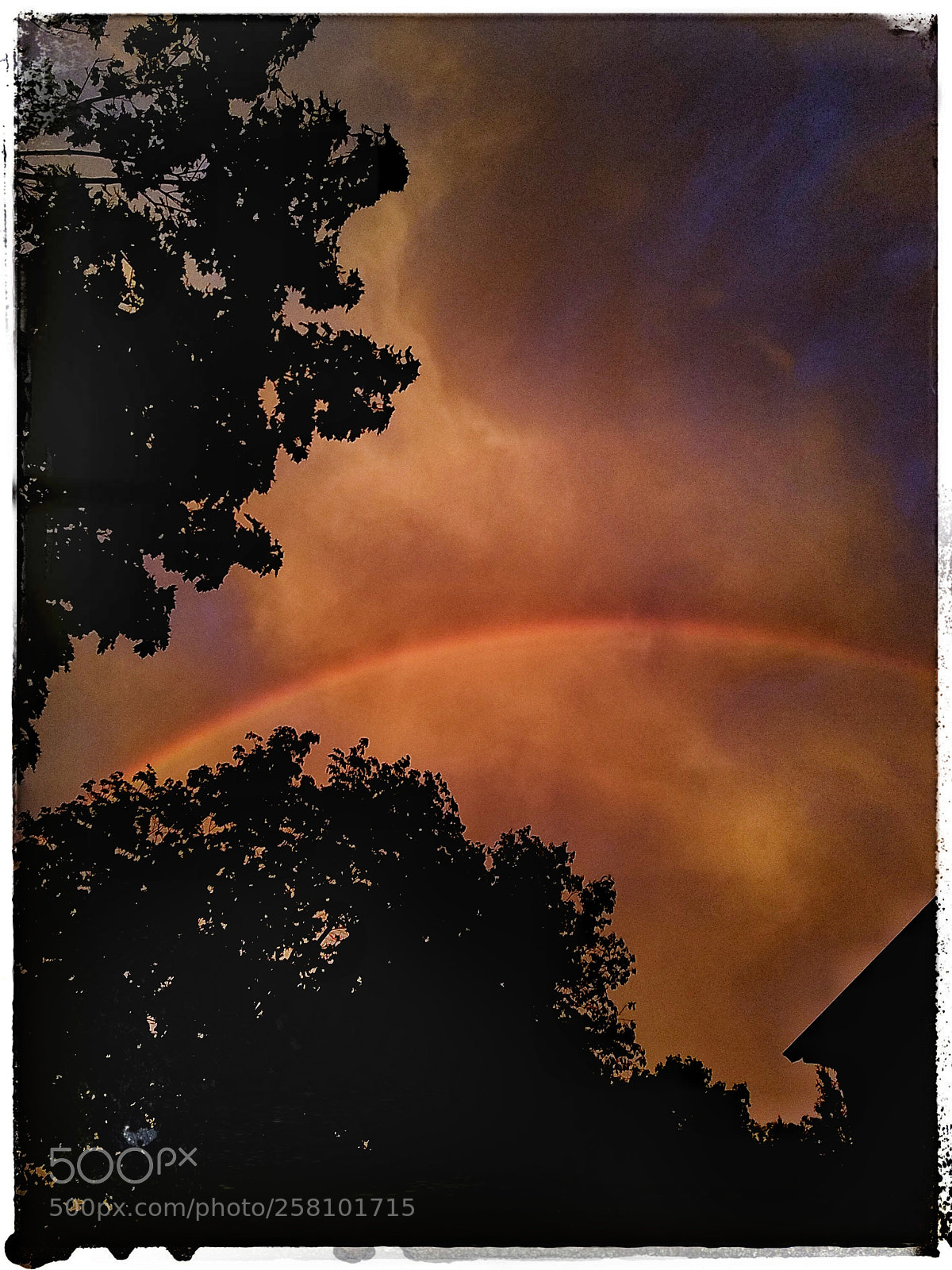 Samsung Galaxy S7 Edge sample photo. Watercolor crimes photography