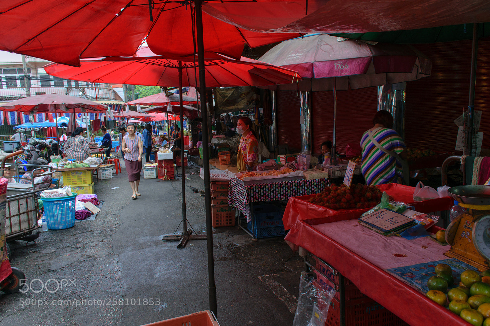 Nikon D5300 sample photo. Once morning in the photography