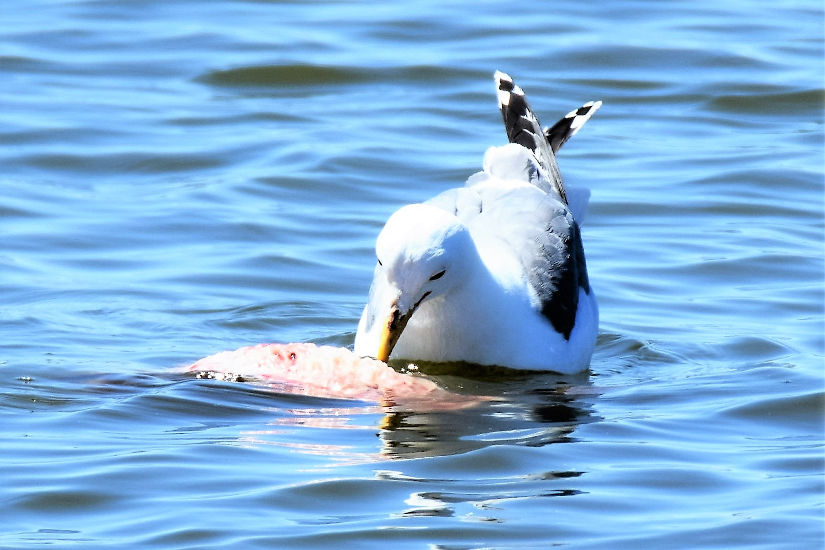 Nikon D3300 sample photo. The cycle of life *;) photography