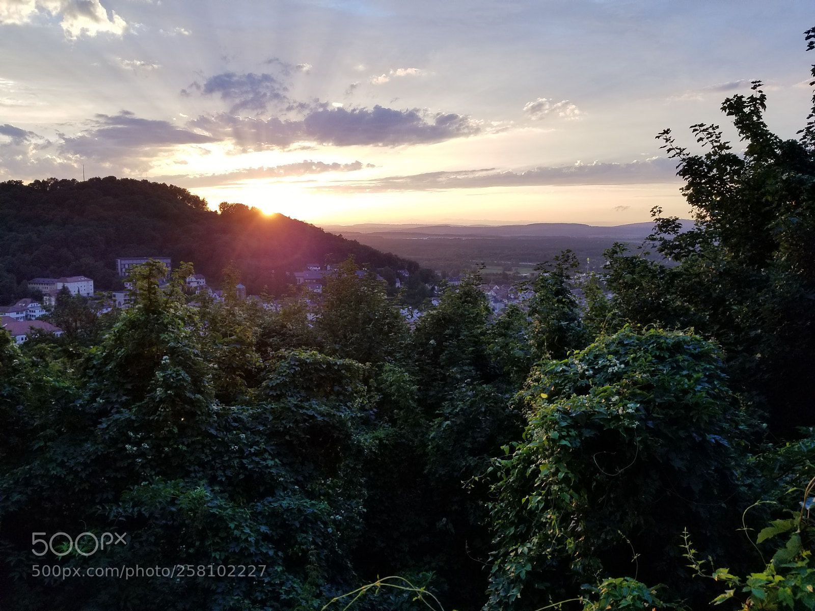Samsung Galaxy S8+ sample photo. Untitled photography