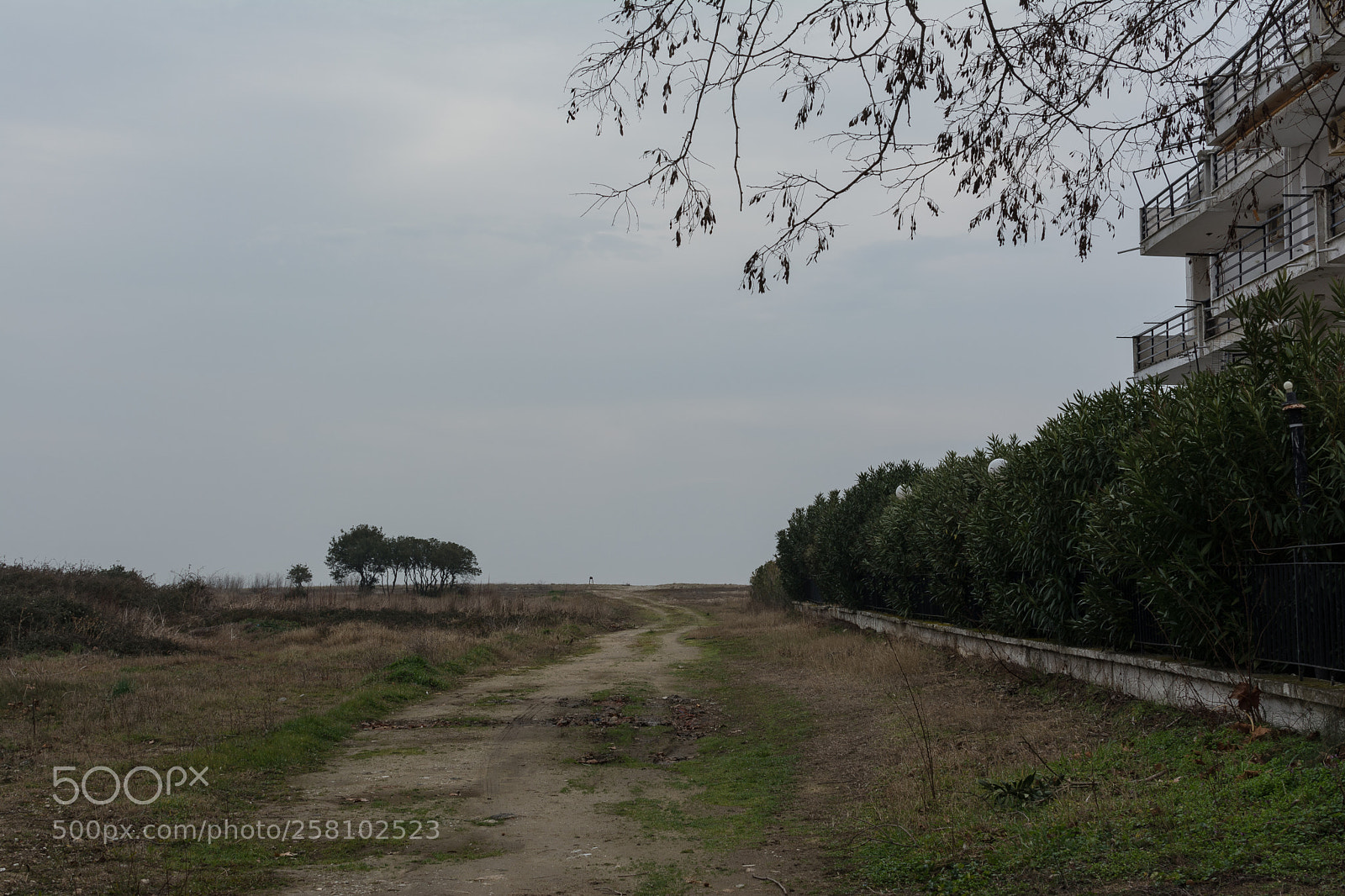 Nikon D5200 sample photo. Untitled photography