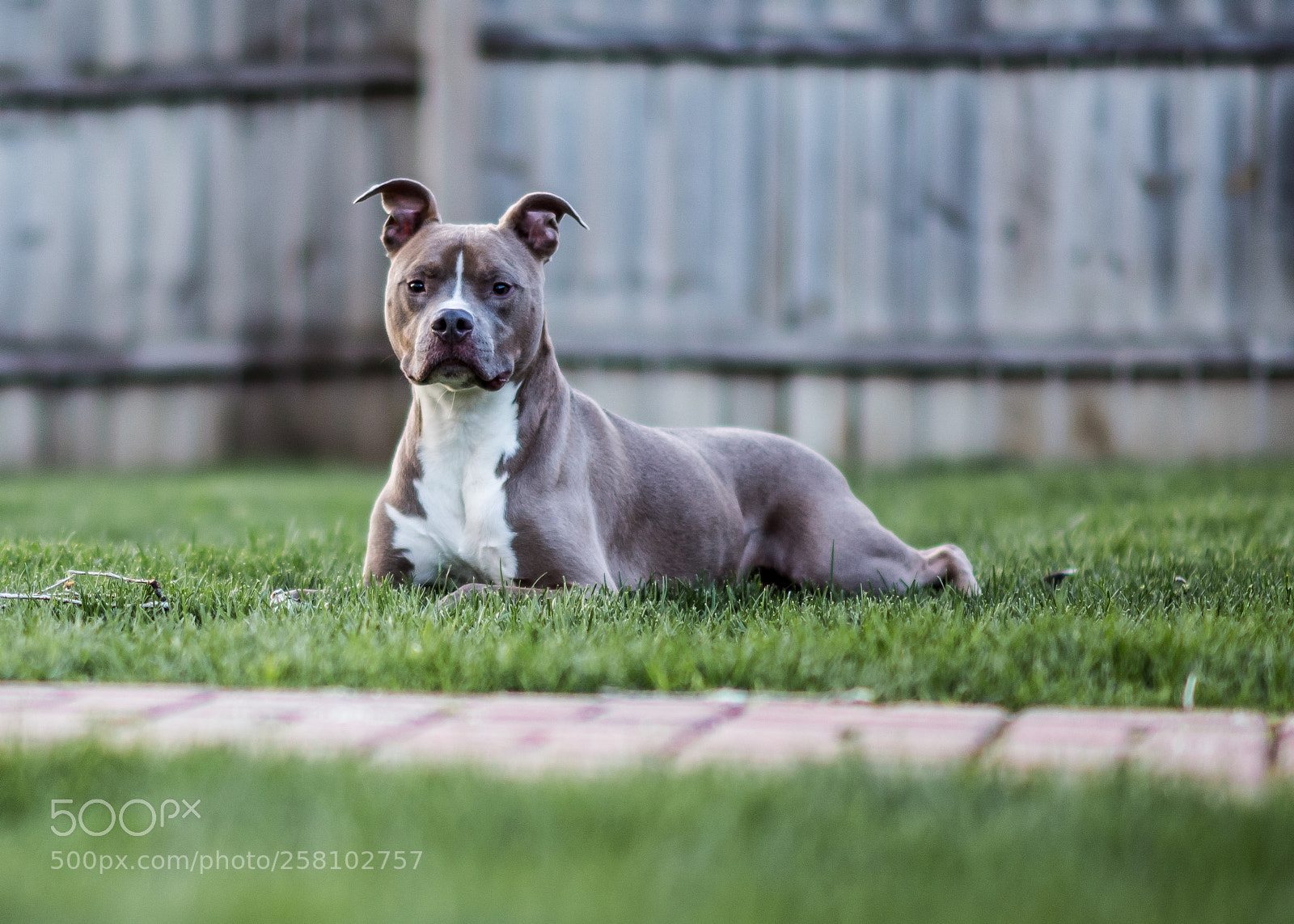 Nikon D7500 sample photo. Patron photography
