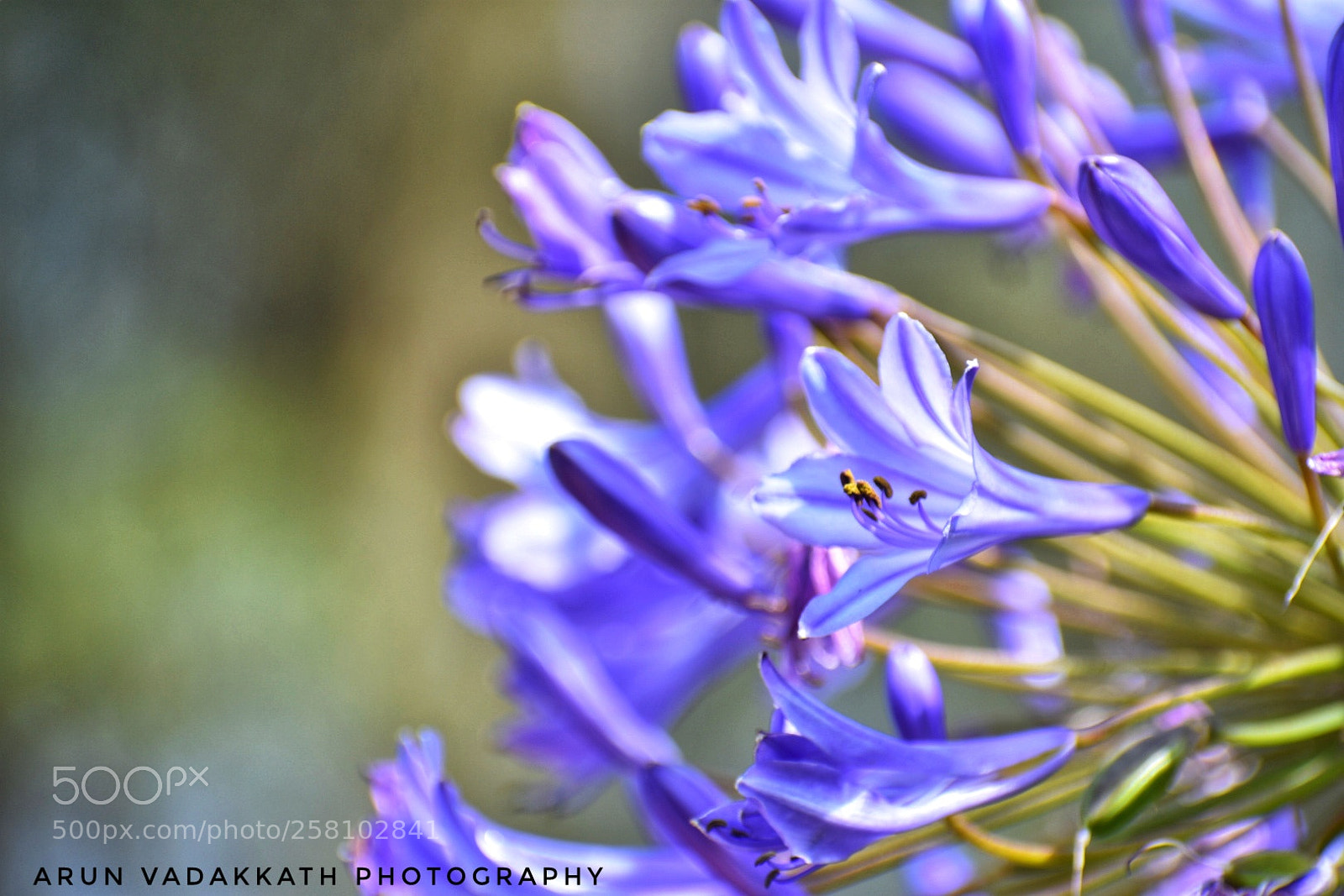 Nikon D3400 sample photo. The violet hour photography