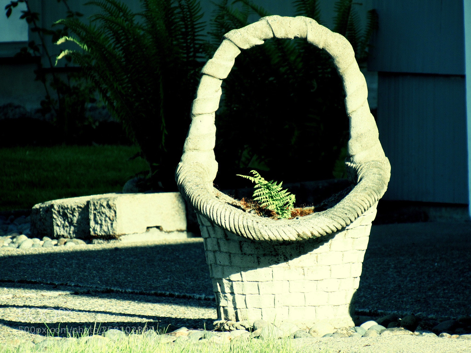 Canon PowerShot SX530 HS sample photo. Pretty  photography