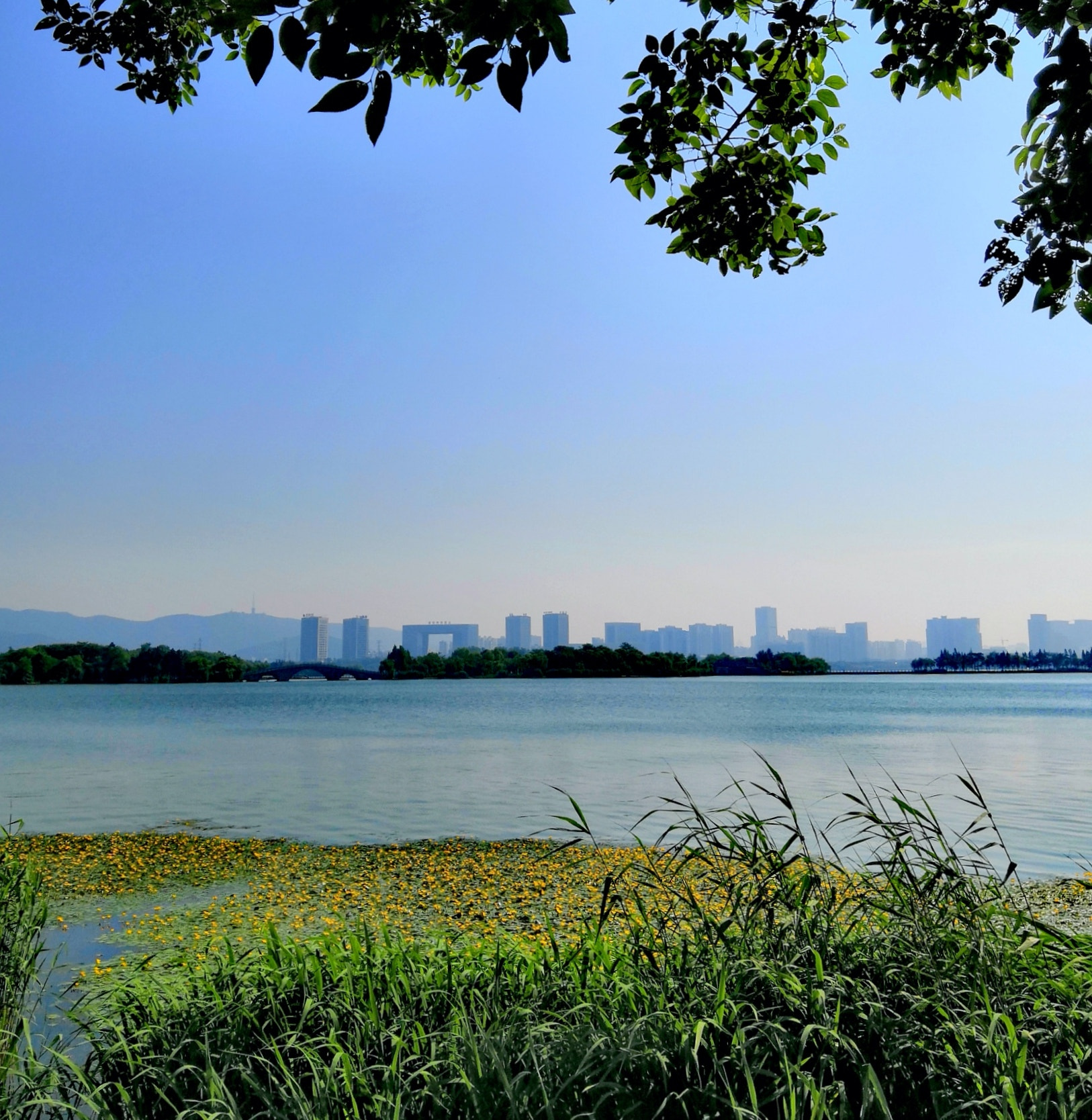 HUAWEI Honor 10 sample photo. Lake in morning photography