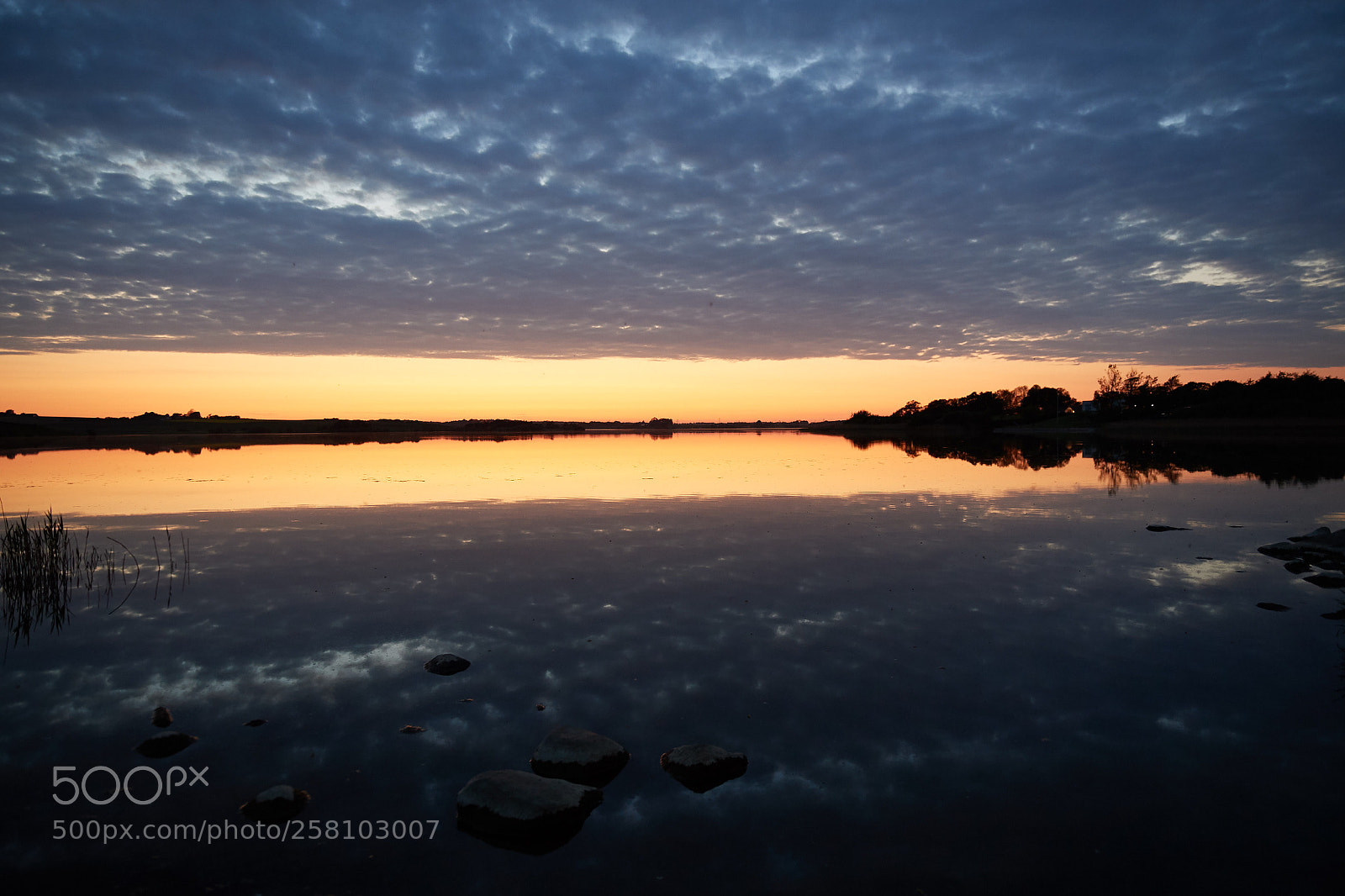 Nikon D5 sample photo. Sundown over solbjerg lake photography