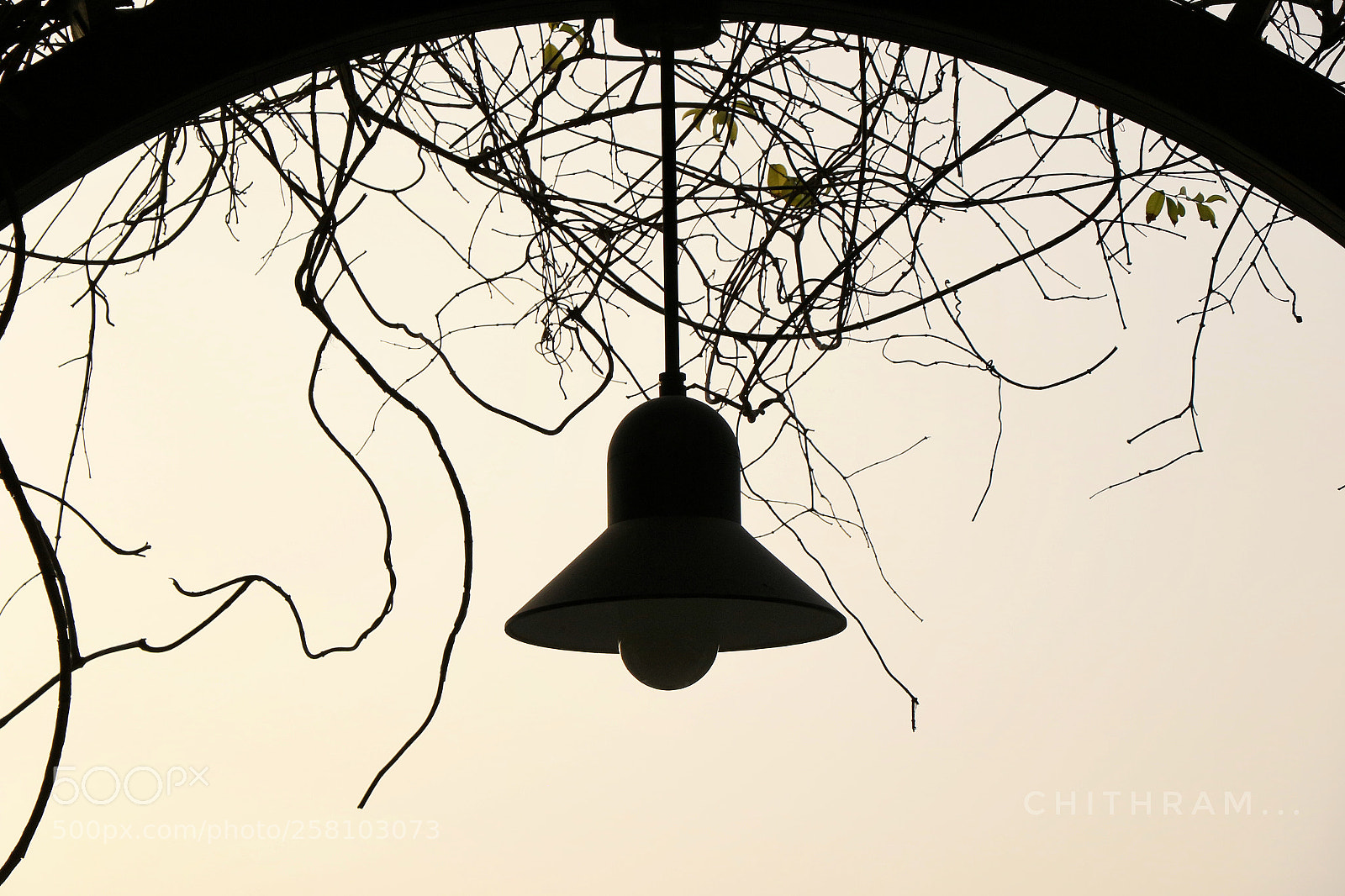 Canon EOS 7D Mark II sample photo. Light photography