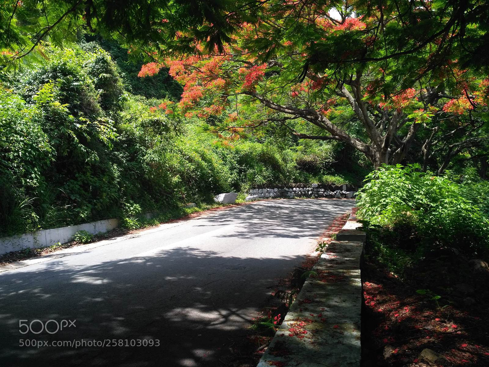 Xiaomi Redmi 3S sample photo. Untitled photography
