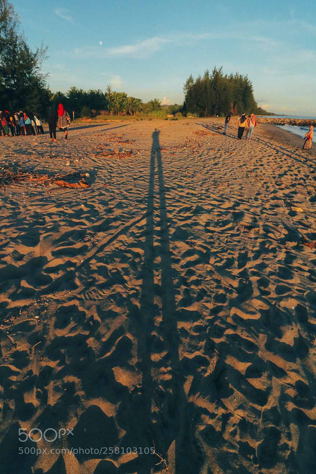 Canon EOS 750D (EOS Rebel T6i / EOS Kiss X8i) sample photo. Long legs photography