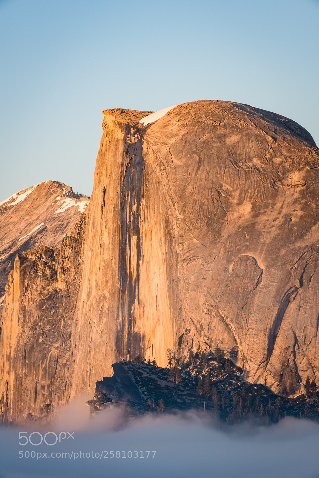 Nikon D800 sample photo. Half dome rising above photography