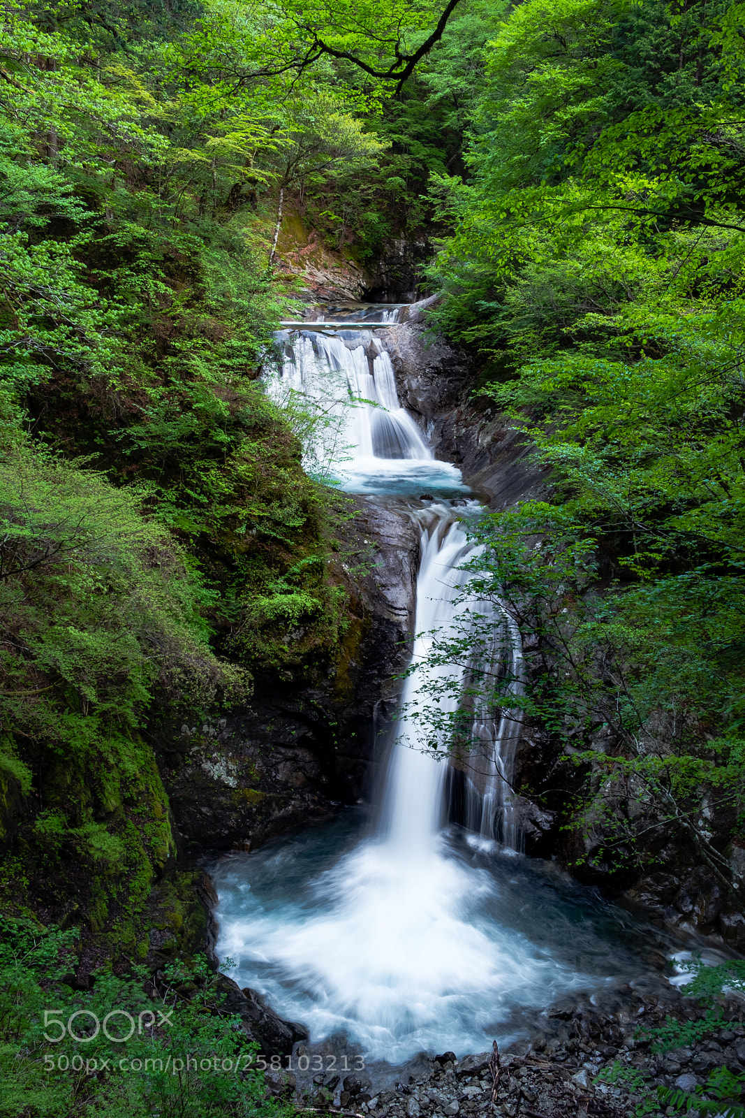 Fujifilm X-T2 sample photo. Fresh verdure and waterfall photography
