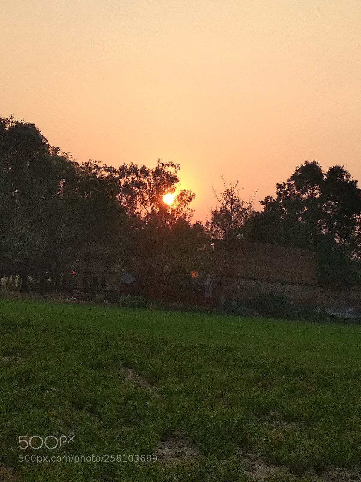 Xiaomi Redmi 4 Pro sample photo. Img_20171224_163747.jpg photography