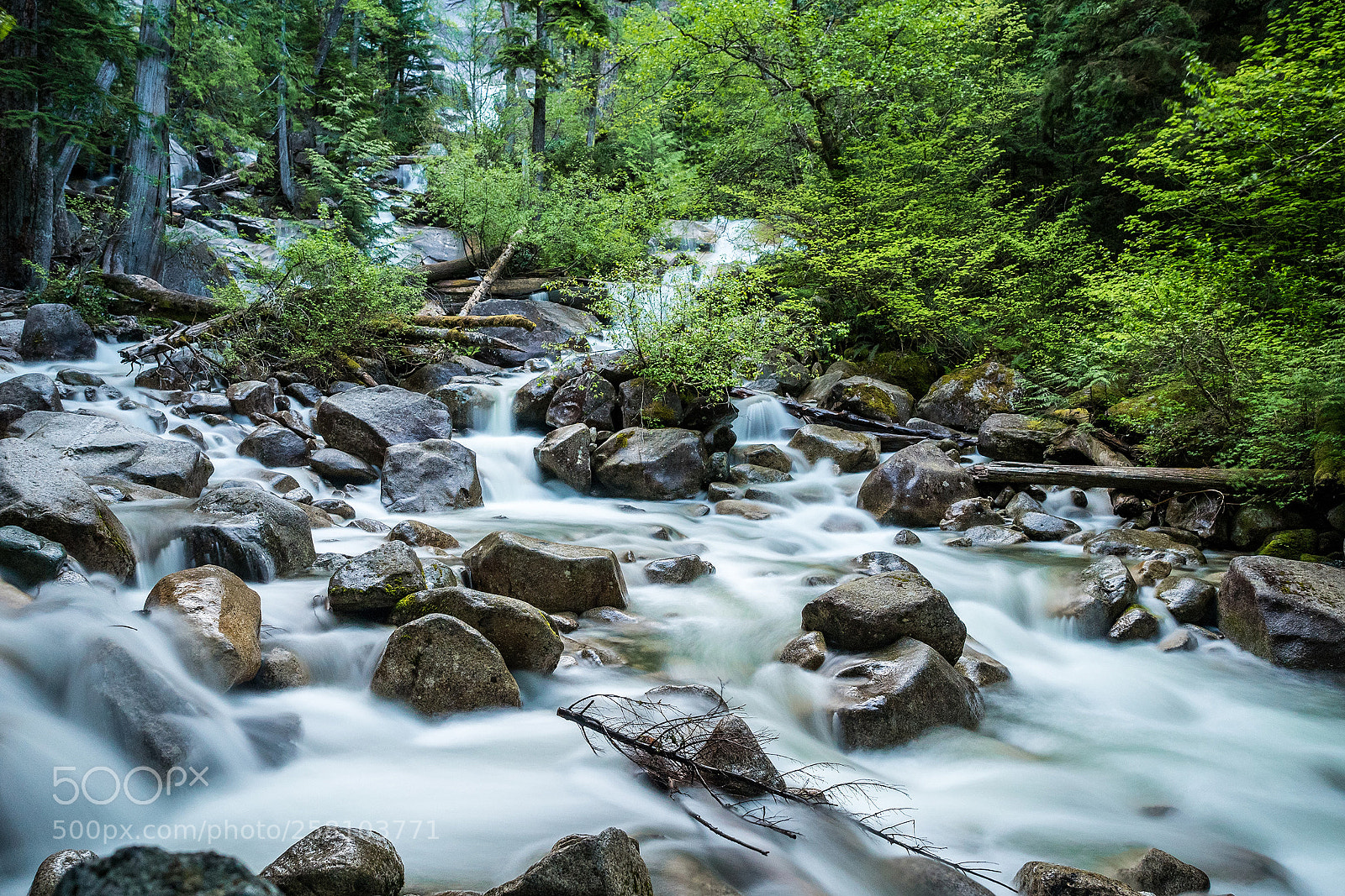 Olympus OM-D E-M5 II sample photo. Rushing water through creek photography