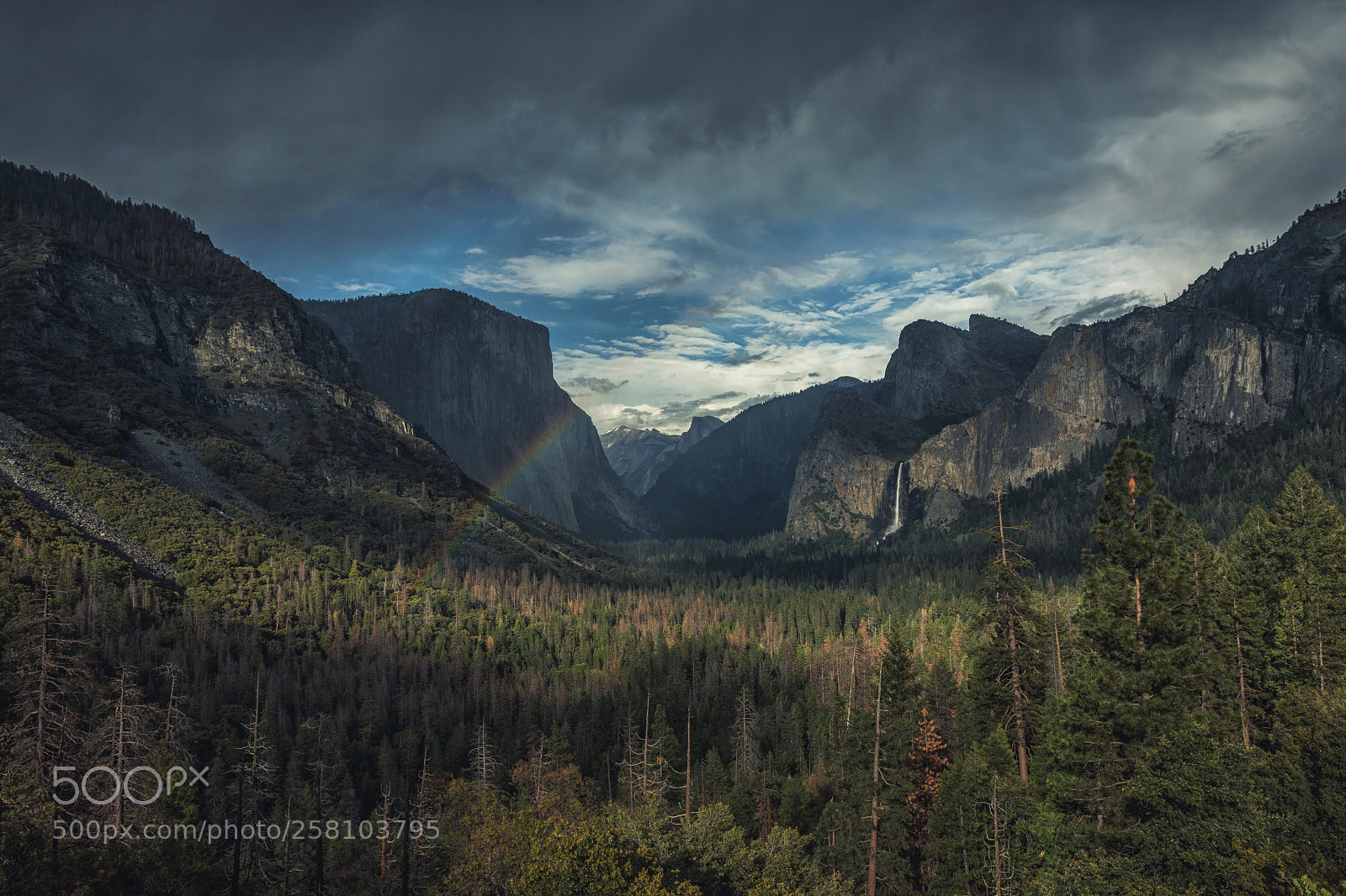 Canon EOS 5D Mark IV sample photo. Yosemite, 2018 photography