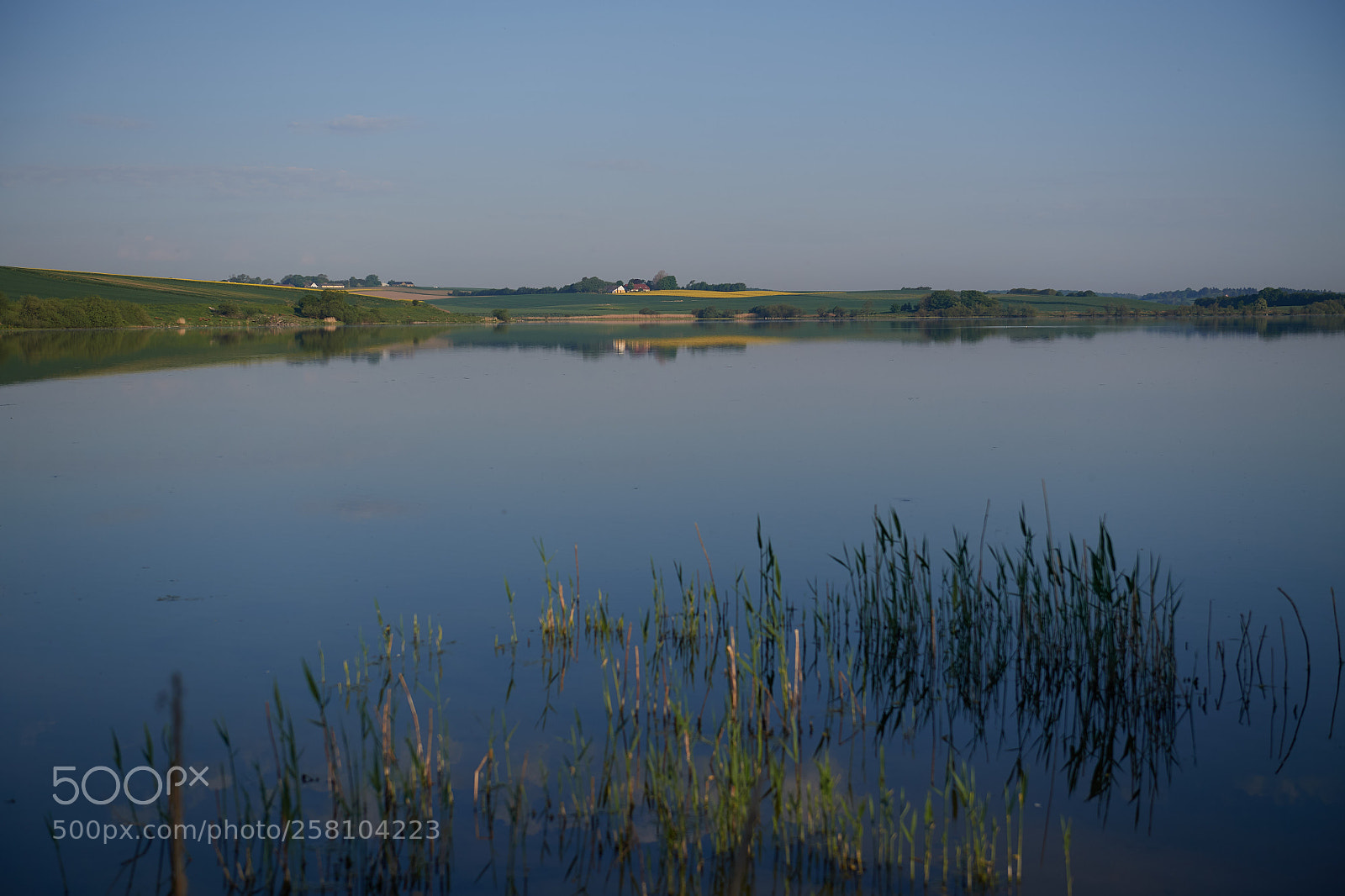 Nikon D5 sample photo. Sunrise over solbjerg lake photography