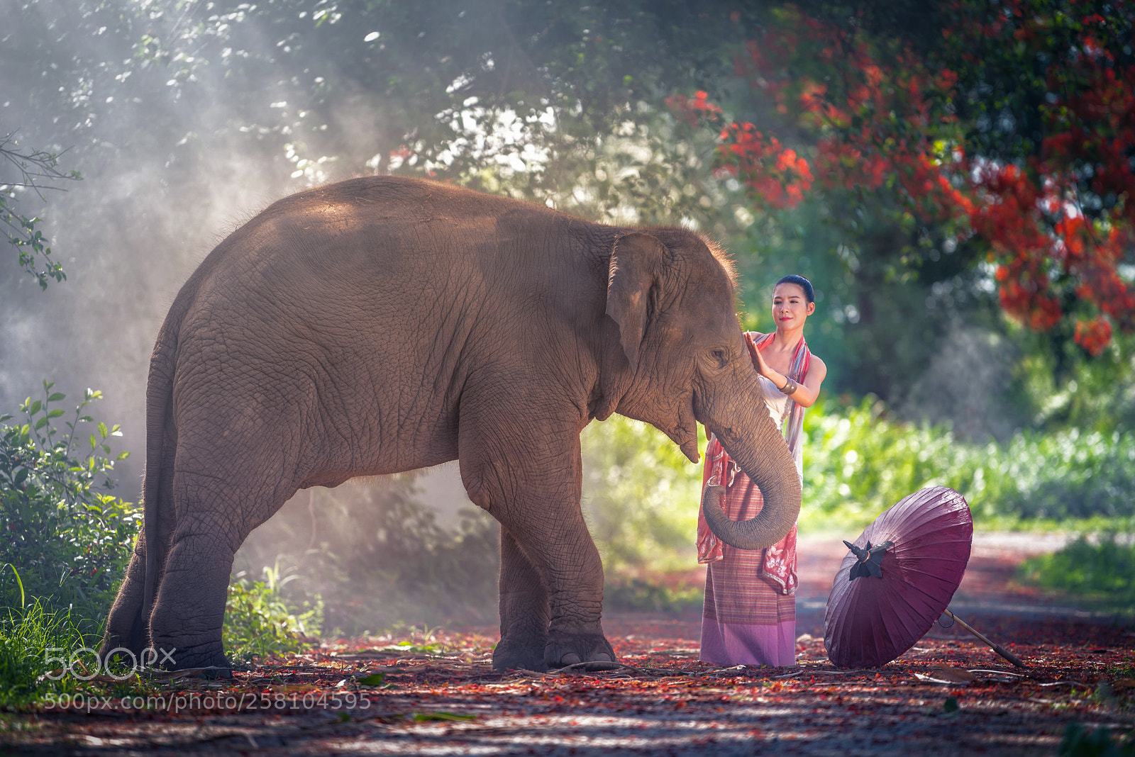 Nikon D750 sample photo. Woman and elephant photography