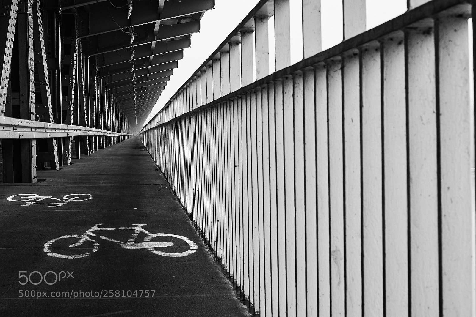 Fujifilm X-Pro1 sample photo. Untitled photography