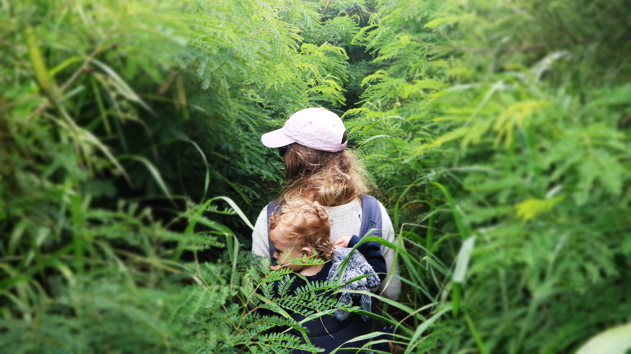 Canon EOS 750D (EOS Rebel T6i / EOS Kiss X8i) sample photo. Hidden paths photography