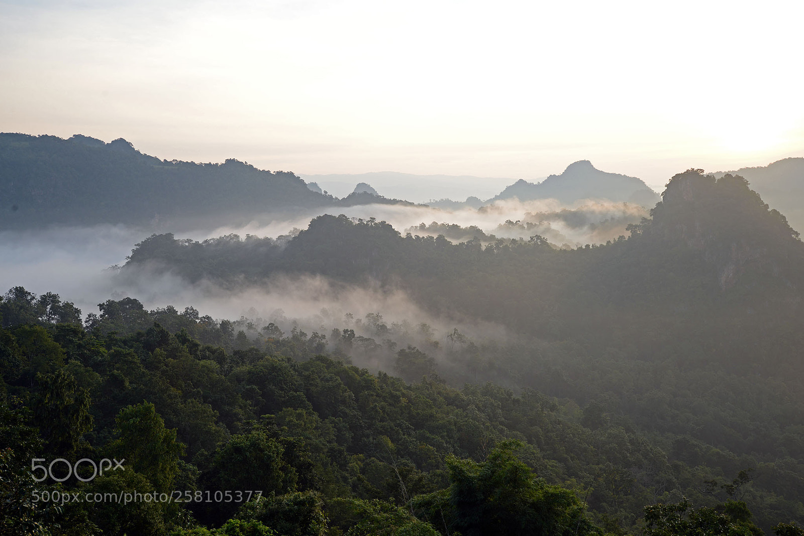 Nikon D610 sample photo. Mist over mountain in photography
