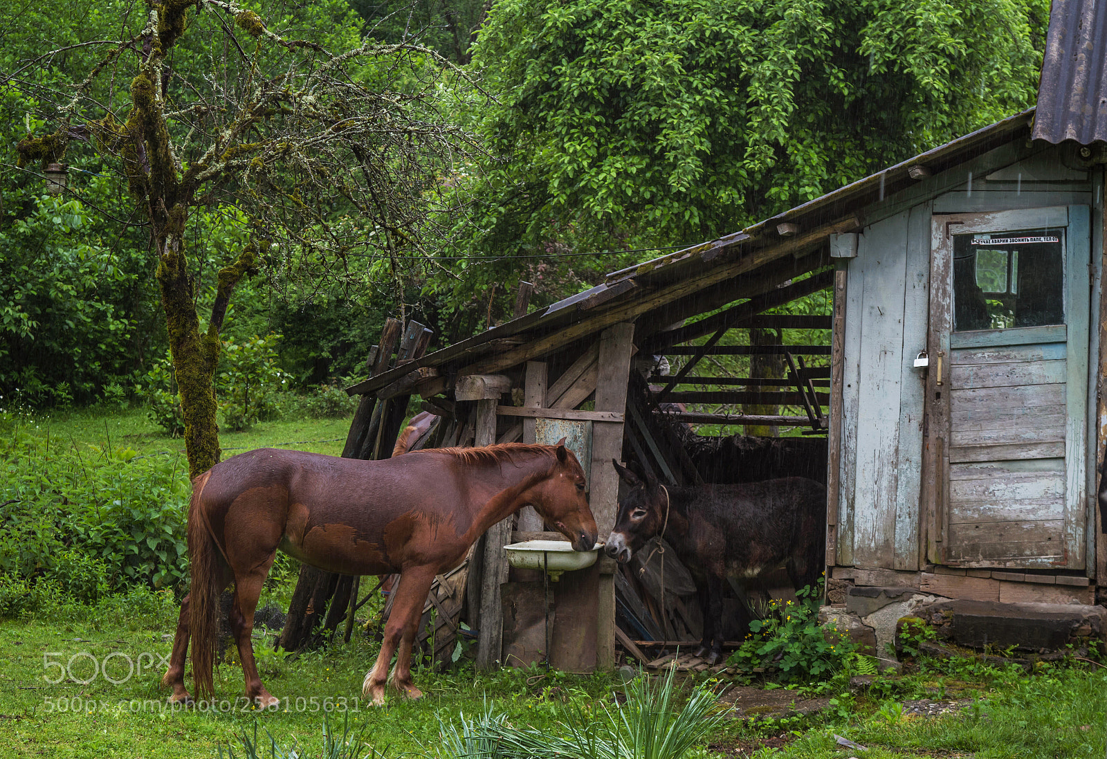 Canon EOS 7D sample photo. The rural life photography