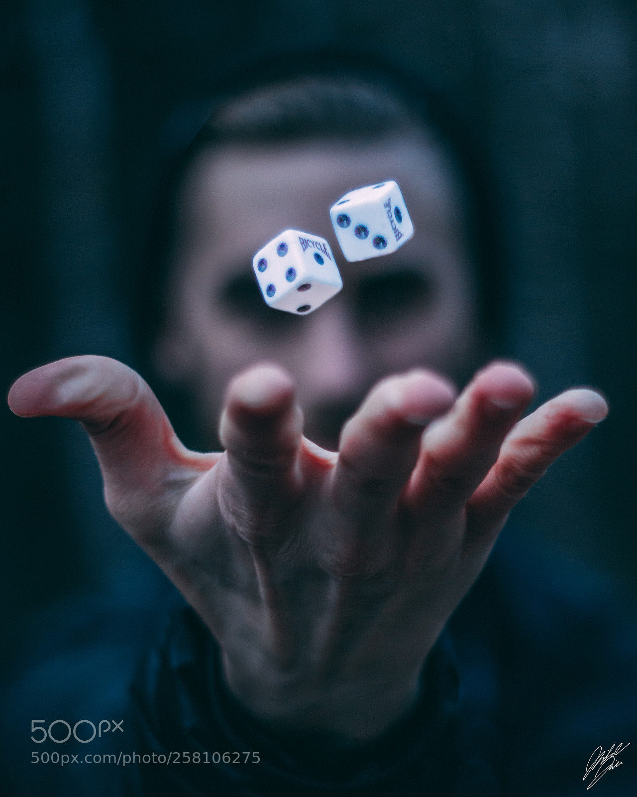 Canon EOS 70D sample photo. Death and dice level photography
