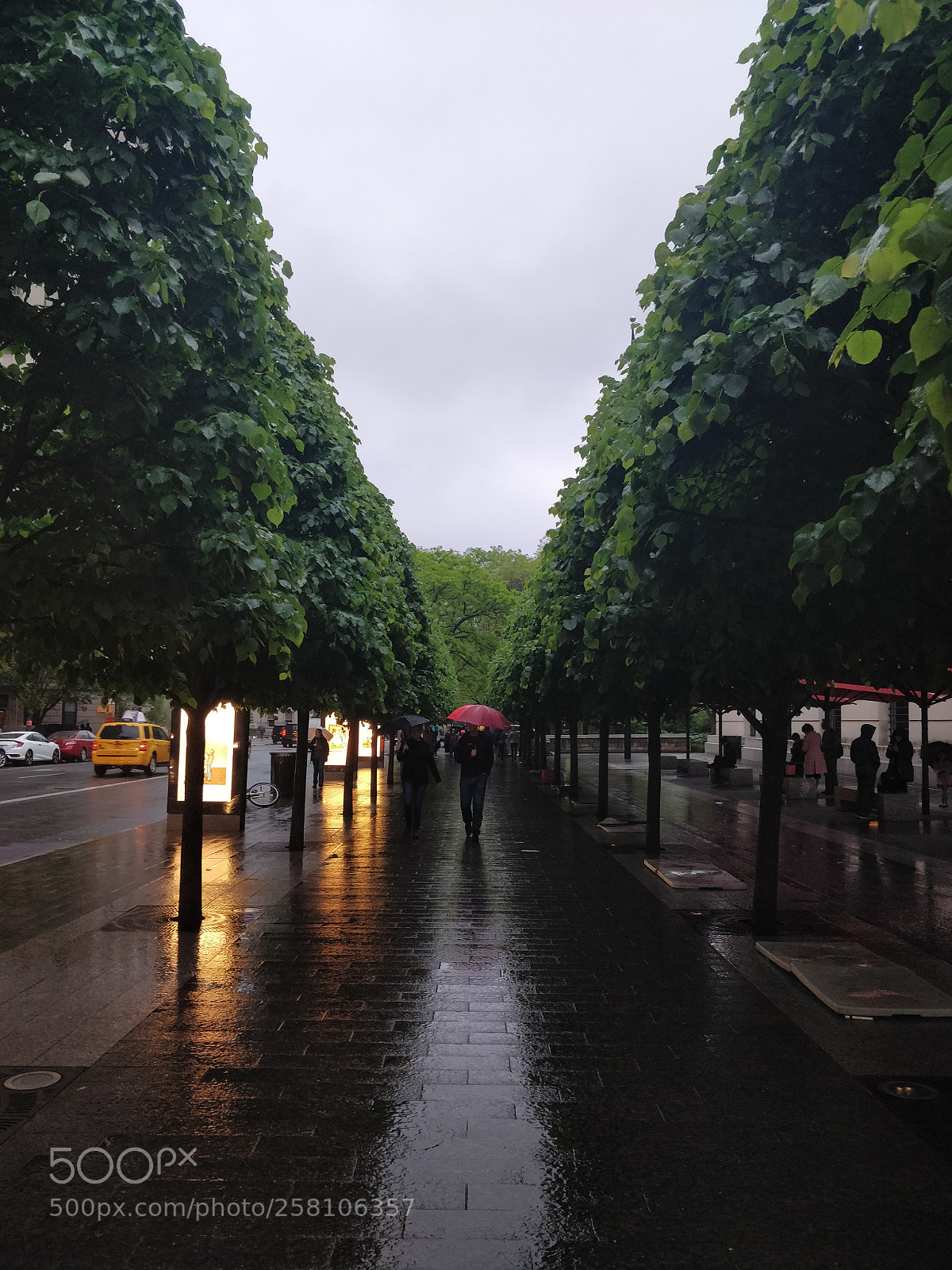 OnePlus 5T sample photo. Red umbrella photography