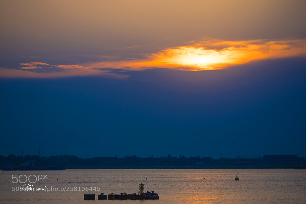 Nikon D750 sample photo. 50.jpg photography
