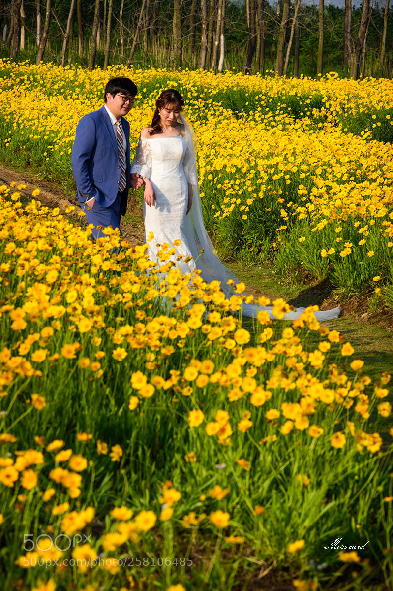 Nikon D750 sample photo. 13.jpg photography