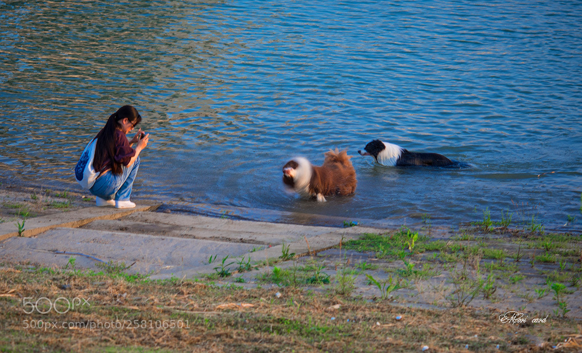 Nikon D750 sample photo. 49.jpg photography