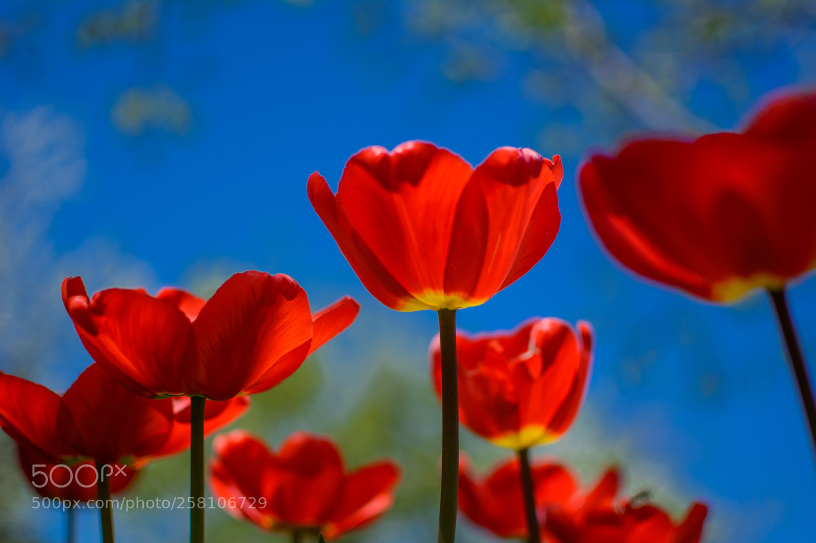 Nikon D5200 sample photo. Looking for the summer photography