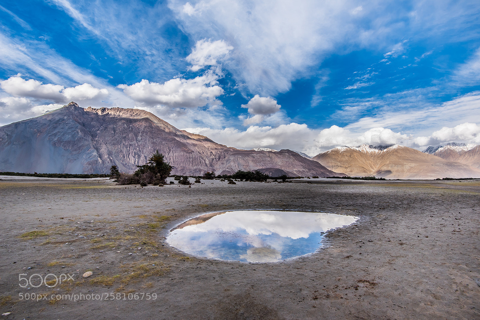 Nikon D750 sample photo. Reflection of nature photography
