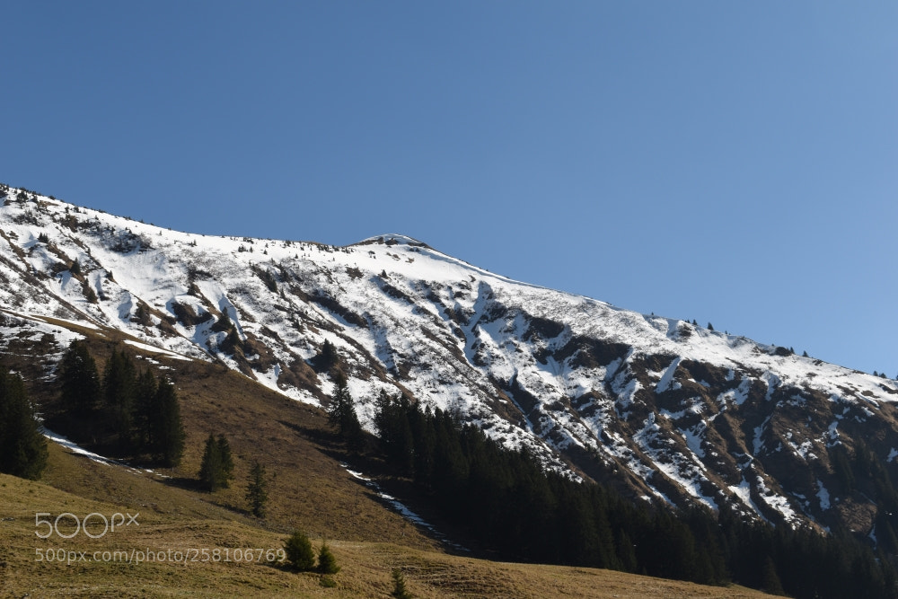 Nikon D5500 sample photo. 16.5.18 photography