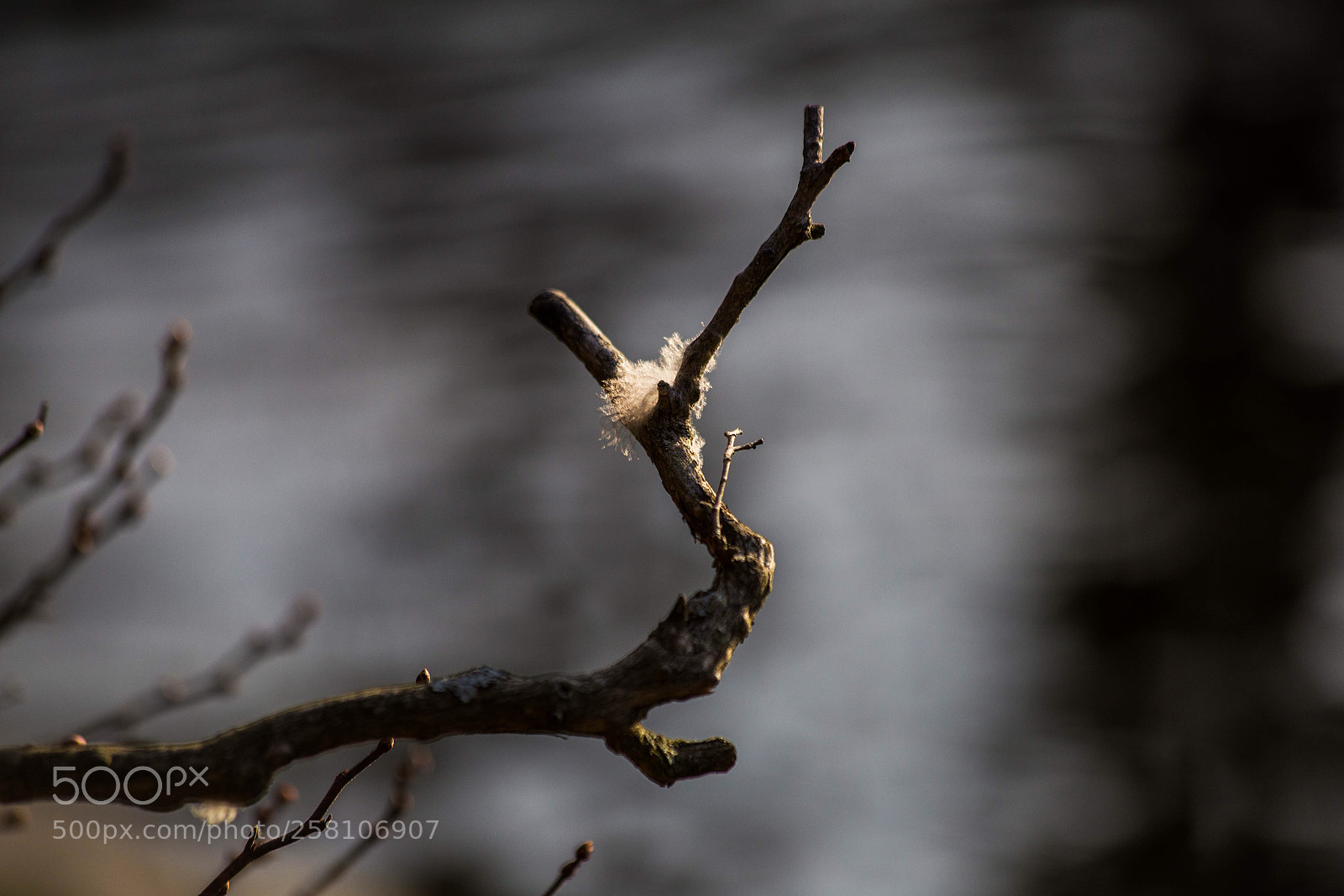 Canon EOS 6D sample photo. An angel has been photography