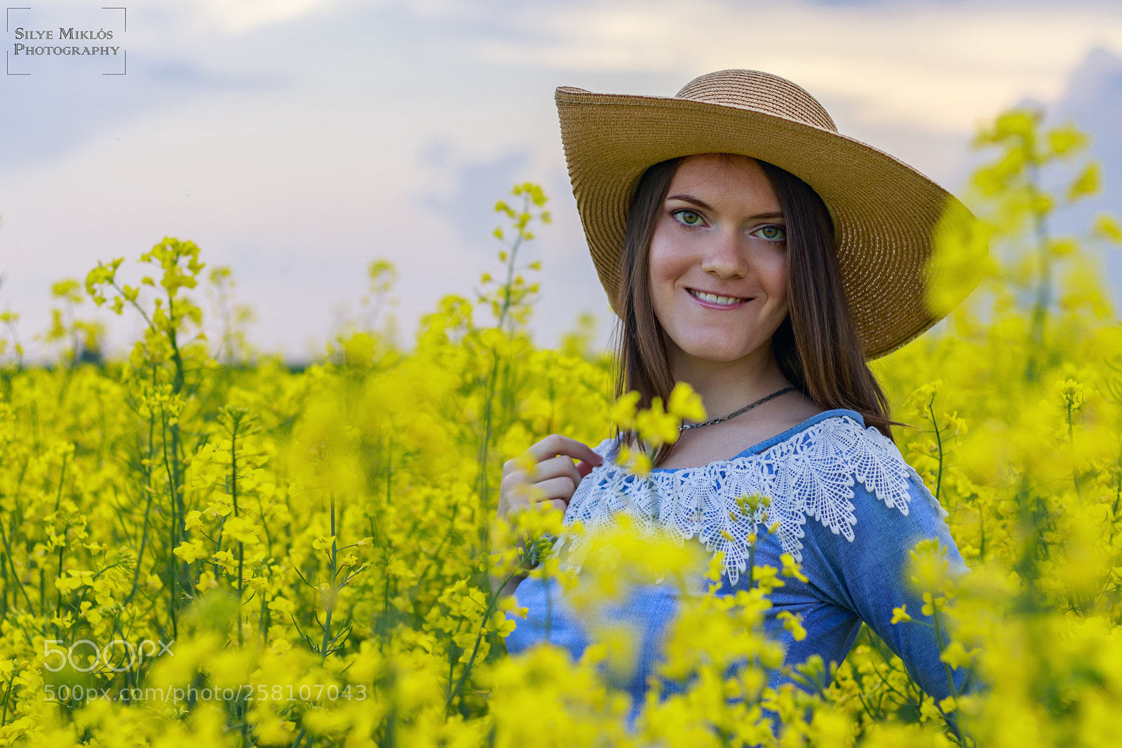 Canon EOS 80D sample photo. Spring photography